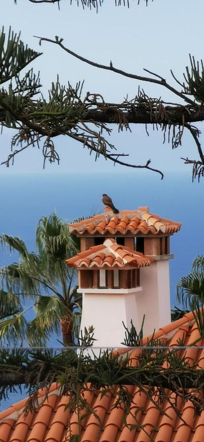 Casa Moja - La Palma Βίλα Tazacorte Εξωτερικό φωτογραφία